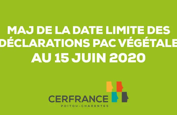 PAC végétale